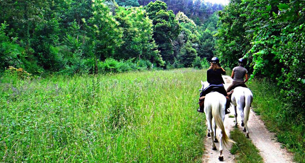 Quinta Lamosa Agroturismo อาร์กอสเดวัลเดเวซ ภายนอก รูปภาพ